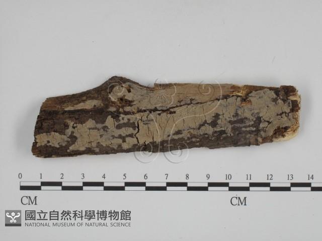 登錄號:F0001587藏品圖，第1張