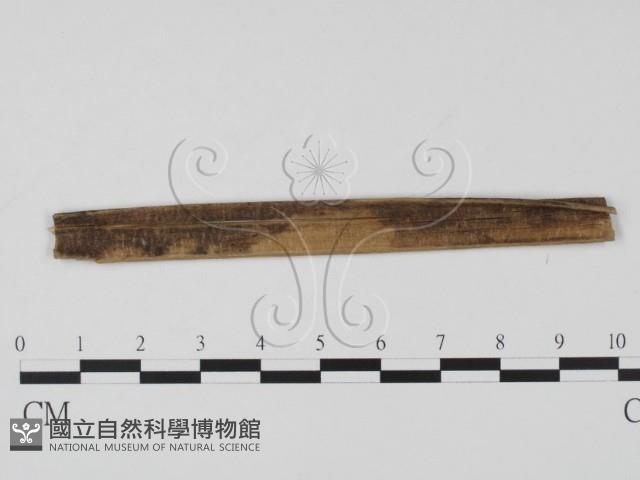登錄號:F0011587藏品圖，第1張