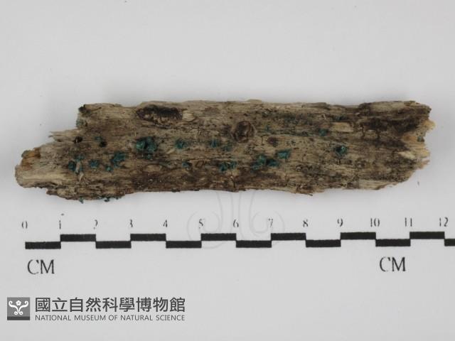 登錄號:F0031587藏品圖，第1張