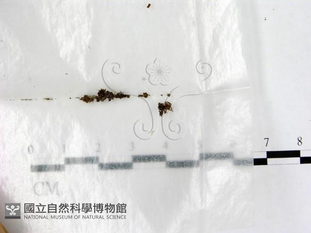 登錄號:F0002587藏品圖，第1張