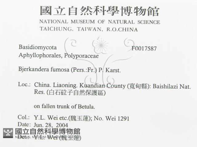 登錄號:F0017587藏品圖，第3張