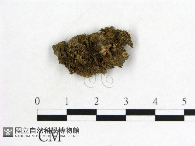 登錄號:F0000187藏品圖，第1張
