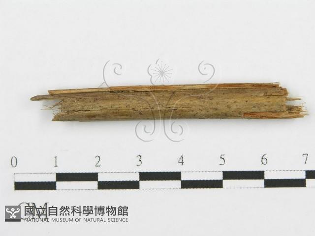 登錄號:F0010187藏品圖，第1張