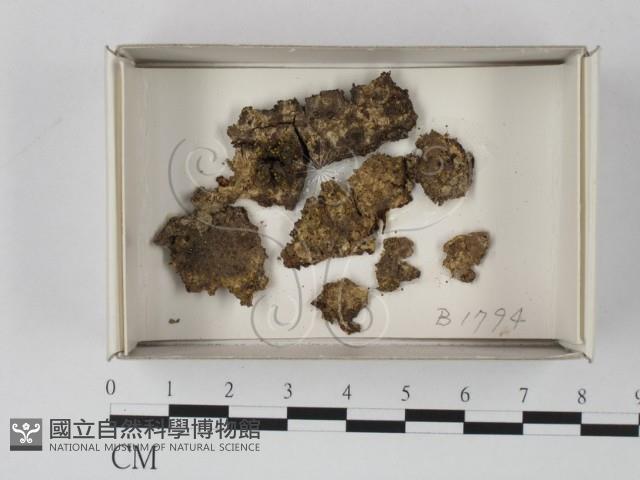 登錄號:F0021187藏品圖，第1張
