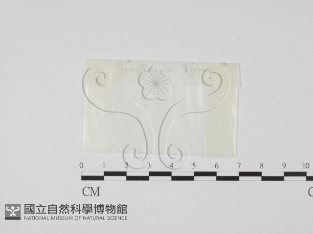 登錄號:F0001187藏品圖，第1張
