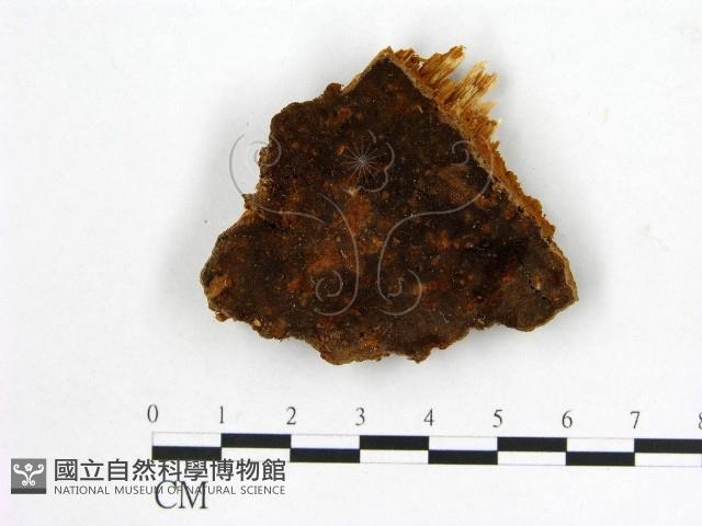 登錄號:F0008087藏品圖，第1張