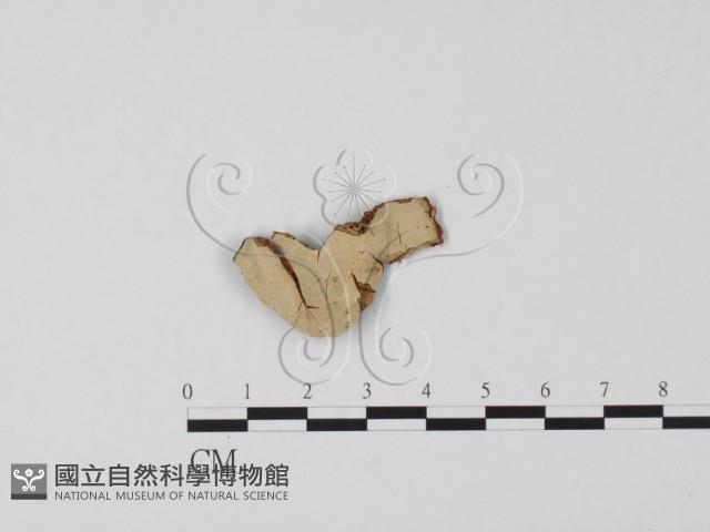 登錄號:F0001087藏品圖，第1張