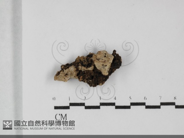 登錄號:F0032087藏品圖，第1張