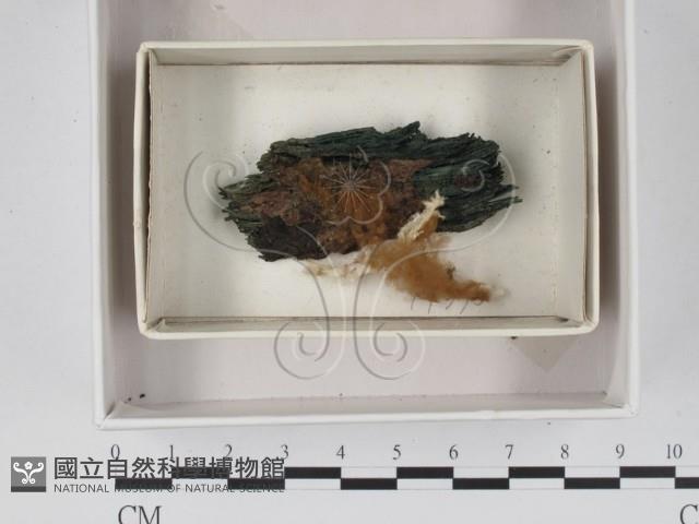 登錄號:F0018387藏品圖，第1張