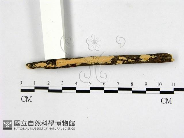 登錄號:F0000387藏品圖，第1張