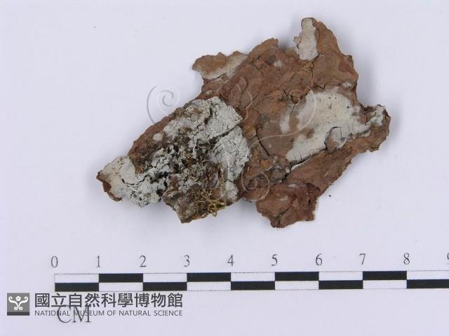 登錄號:F0001387藏品圖，第1張