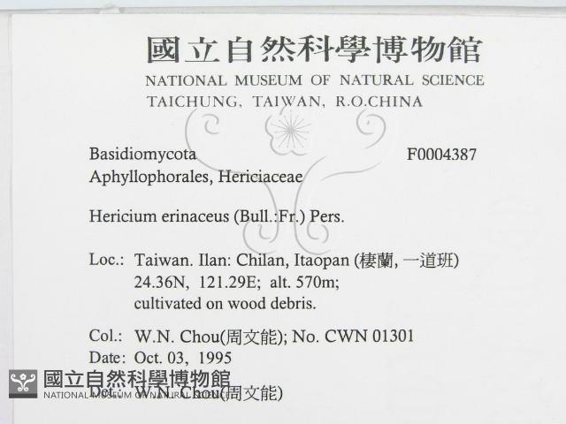 登錄號:F0004387藏品圖，第3張