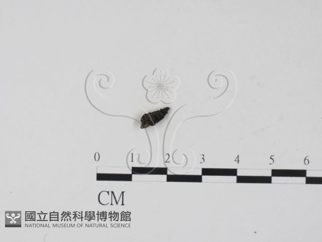 登錄號:F0007387藏品圖，第1張