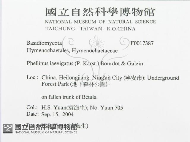 登錄號:F0017387藏品圖，第3張