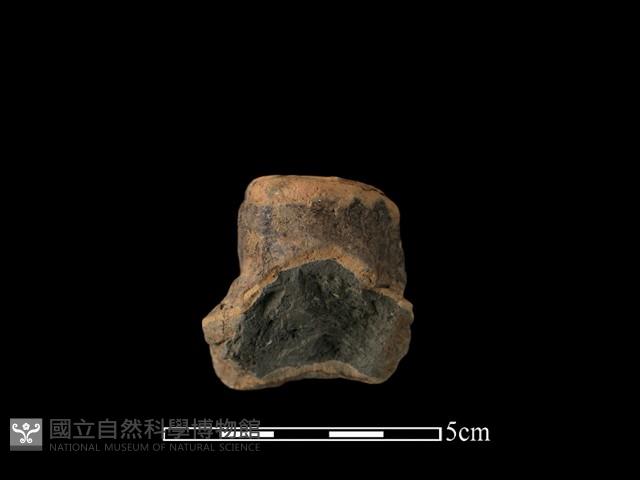 陶蓋鈕藏品圖，第2張