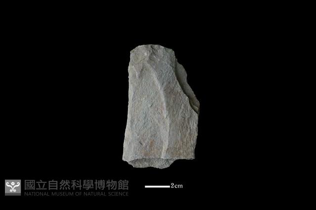 斧鋤形器藏品圖，第2張