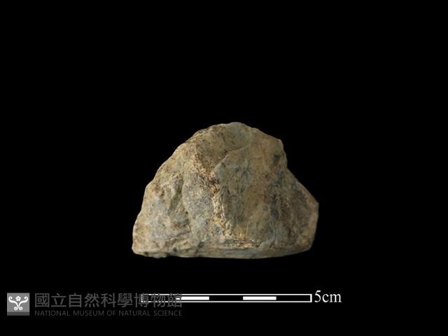 石材藏品圖，第2張