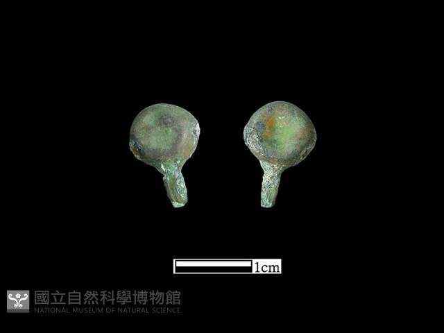 鈕子藏品圖，第1張