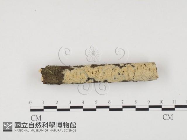 登錄號:F0001225藏品圖，第1張