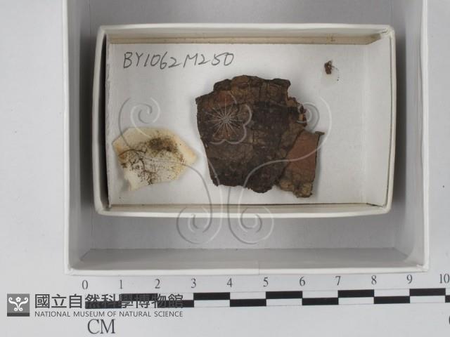 登錄號:F0018125藏品圖，第1張