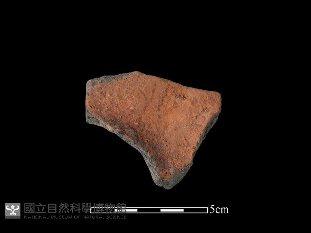 連杯形器藏品圖，第2張