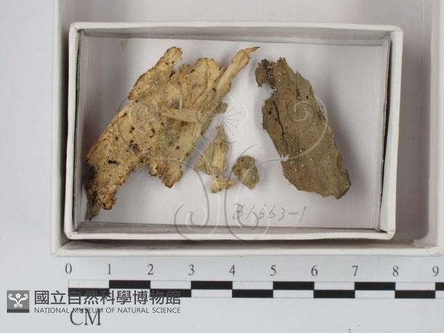 登錄號:F0018025藏品圖，第1張