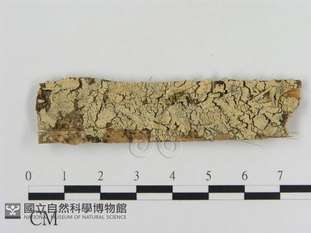 登錄號:F0001025藏品圖，第1張