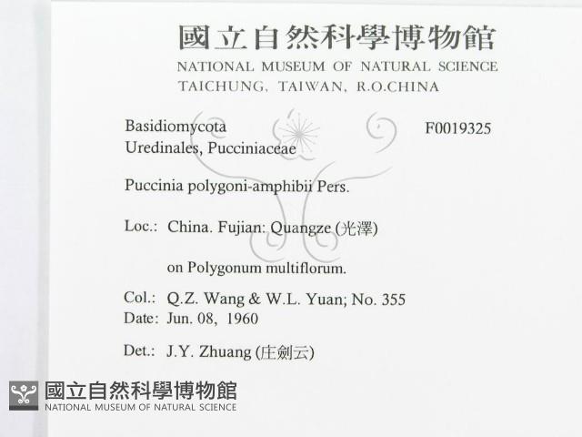 登錄號:F0019325藏品圖，第3張