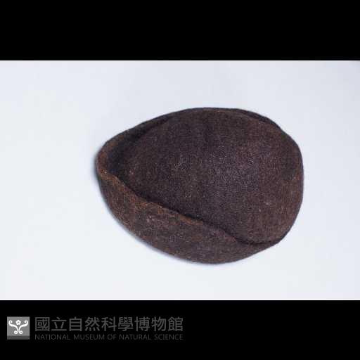 呢帽藏品圖，第1張