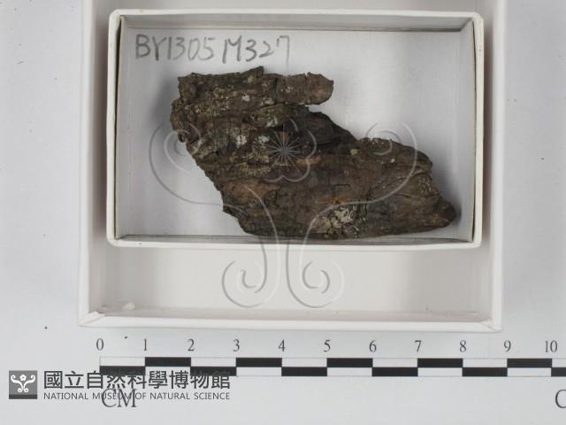 登錄號:F0021205藏品圖，第1張