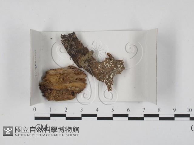 登錄號:F0018405藏品圖，第1張