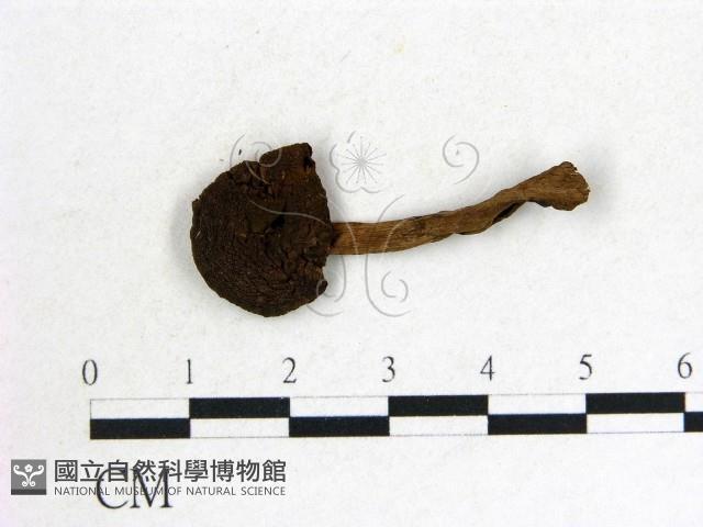 登錄號:F0014405藏品圖，第1張