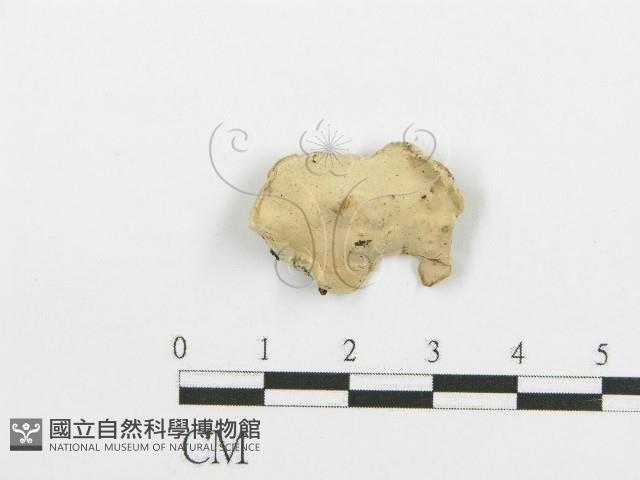 登錄號:F0009405藏品圖，第1張