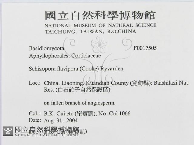 登錄號:F0017505藏品圖，第3張