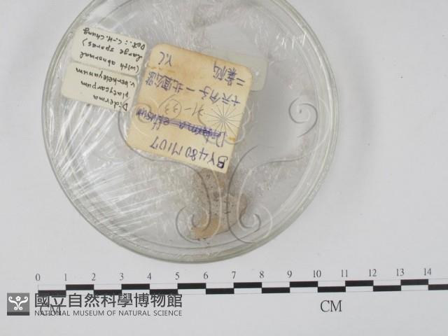 登錄號:F0018105藏品圖，第1張