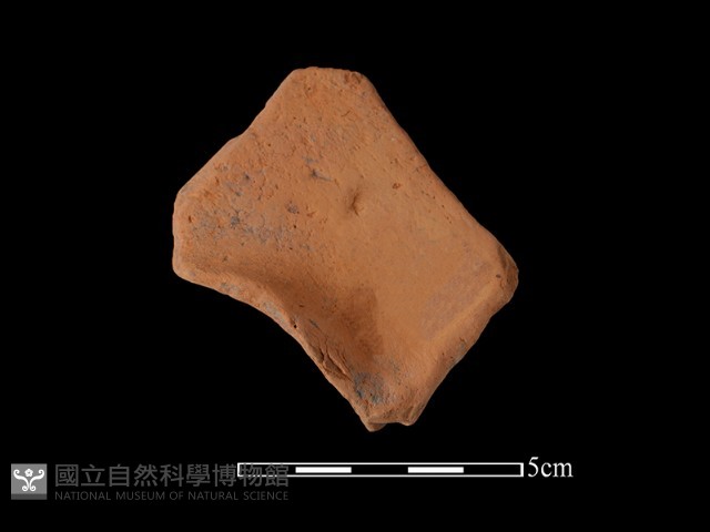 連杯形器藏品圖，第1張