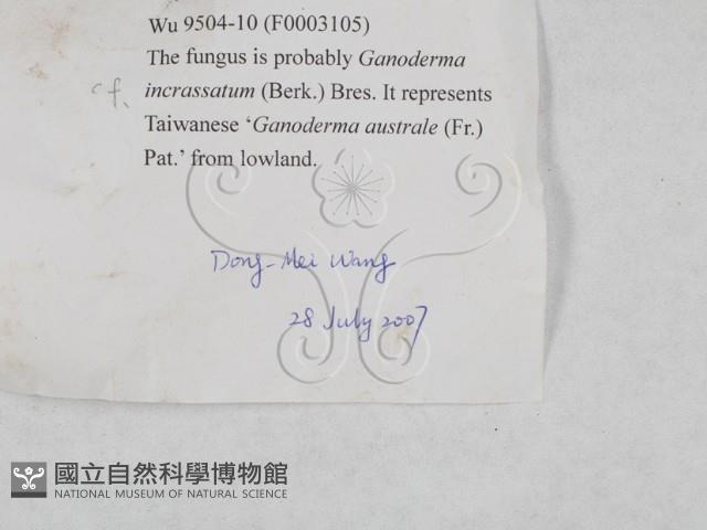 登錄號:F0003105藏品圖，第3張