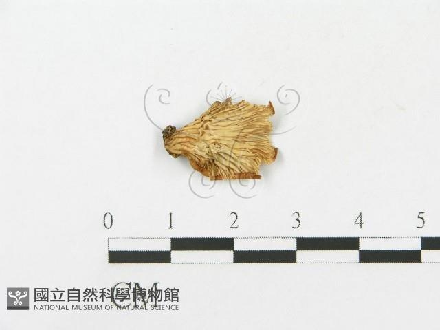 Accession Number:F0013105 Collection Image, Figure 1, Total 3 Figures
