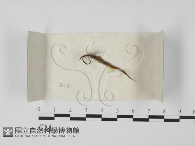 登錄號:F0018005藏品圖，第1張