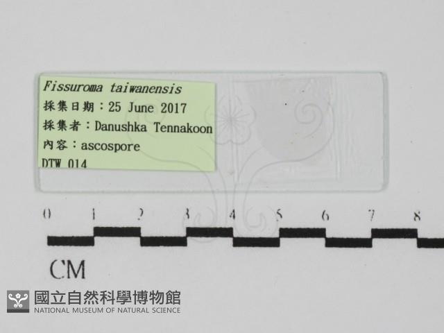 登錄號:F0031005藏品圖，第1張