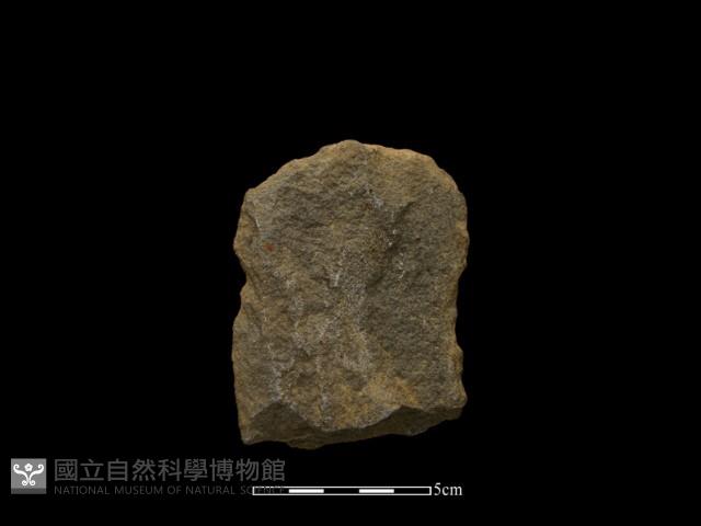 斧鋤形器藏品圖，第1張