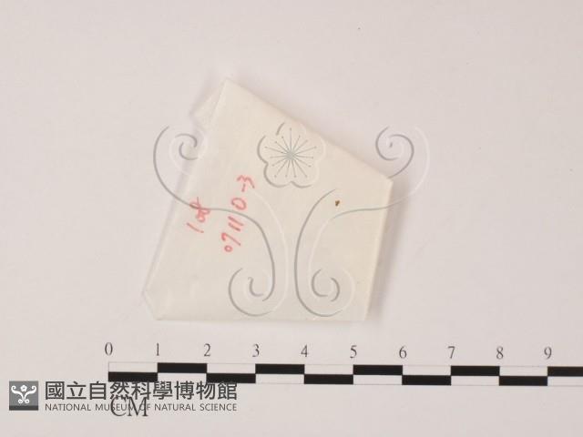 館號:F0022005藏品圖，第1張