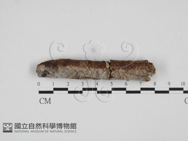 登錄號:F0027005藏品圖，第1張