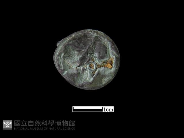 銅鈴藏品圖，第1張