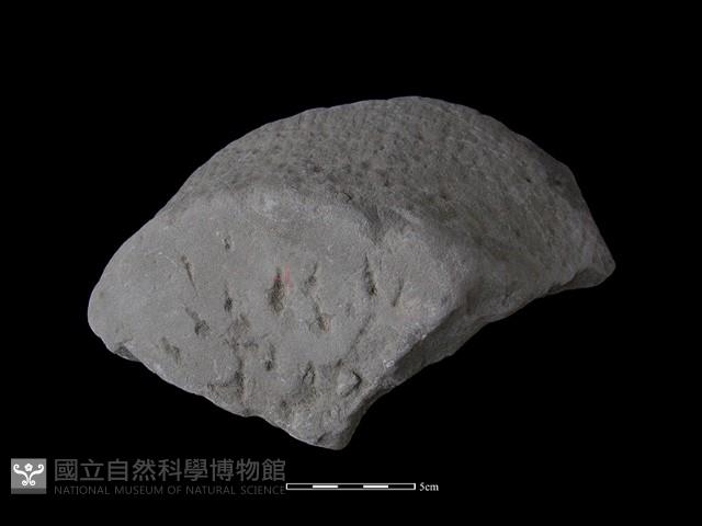 柱礎？藏品圖，第2張