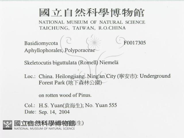 登錄號:F0017305藏品圖，第3張