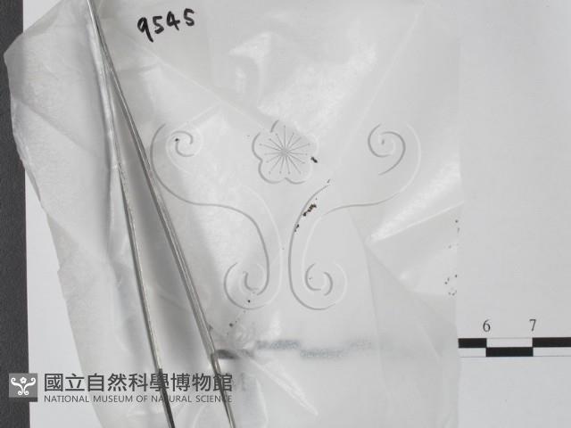 登錄號:F0005305藏品圖，第1張