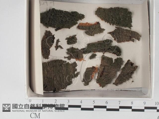 登錄號:F0018215藏品圖，第1張