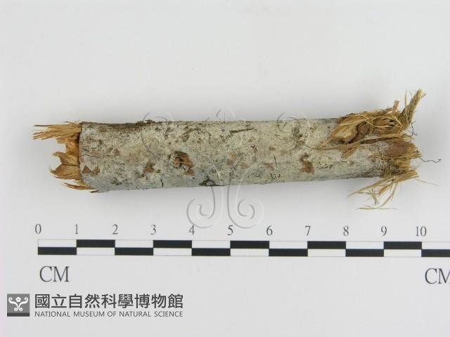 登錄號:F0001215藏品圖，第1張