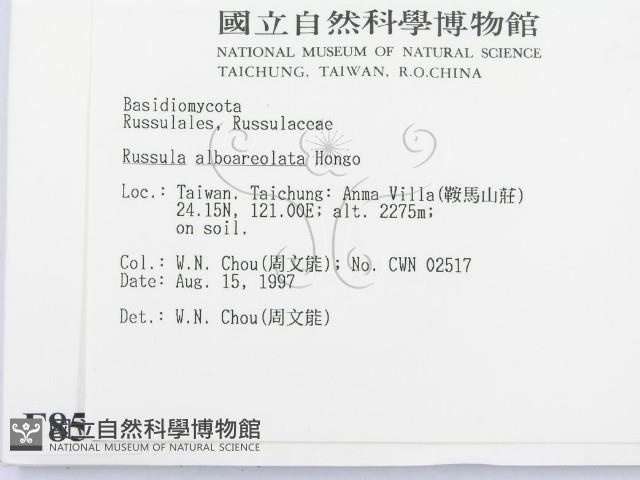 登錄號:F0008515藏品圖，第3張